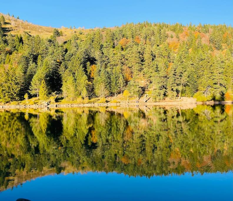 Апартаменты Au Nid Des Pies Soultzeren Экстерьер фото